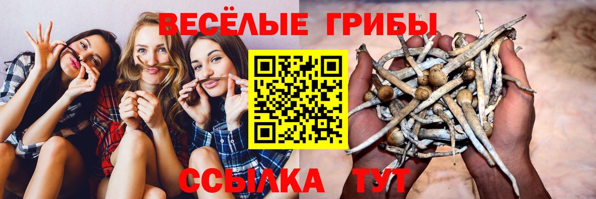 Псилоцибиновые грибы мухоморы  Псилоцибиновые грибы мухоморы  Вход с VPN  Новоалтайск 